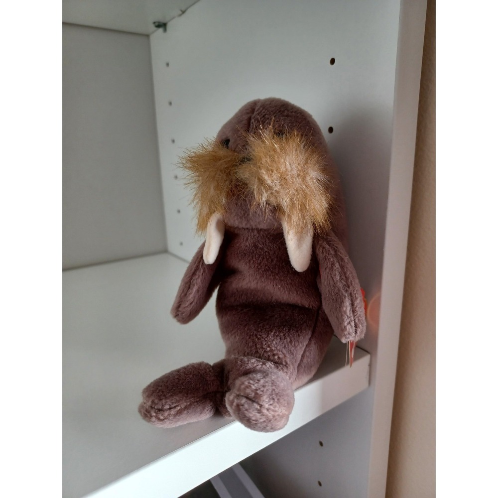 Vintage Jolly The Walrus Ty Beanie Baby Plush Stuffed Animal Collectible Toy